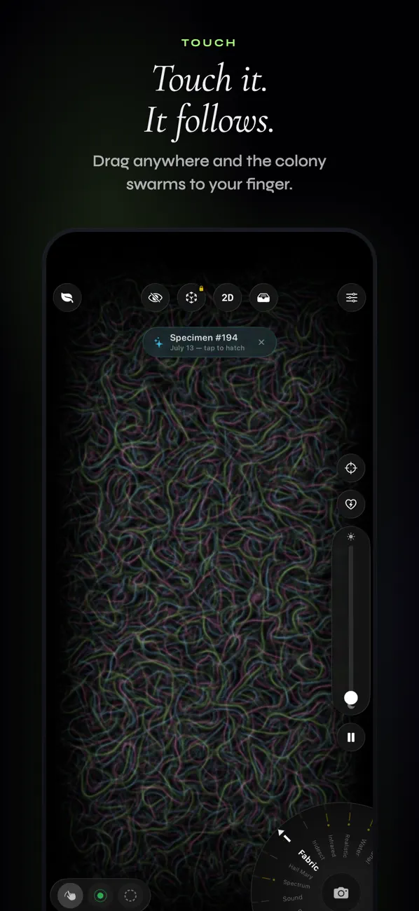 Screenshot #3 pour Cell Zoo - Physarium