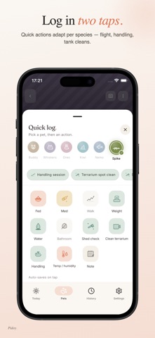 Pidoy screenshot