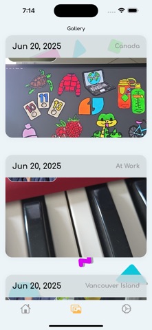 LifeFrame screenshot