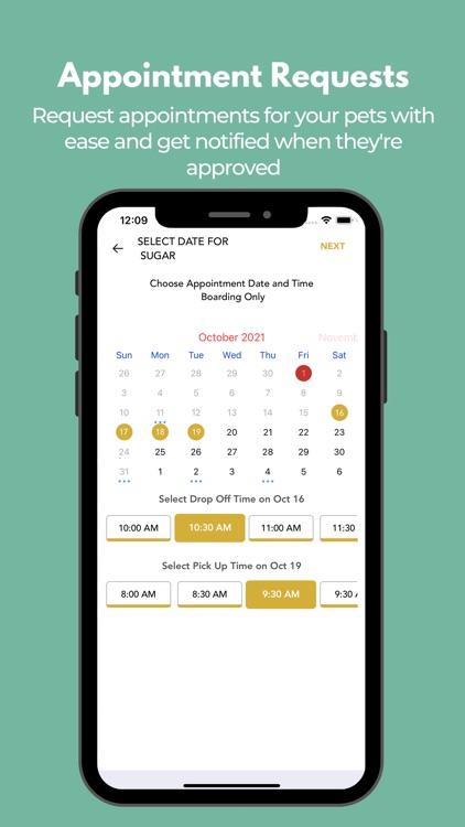 Happy Go Lucky Dog NJ