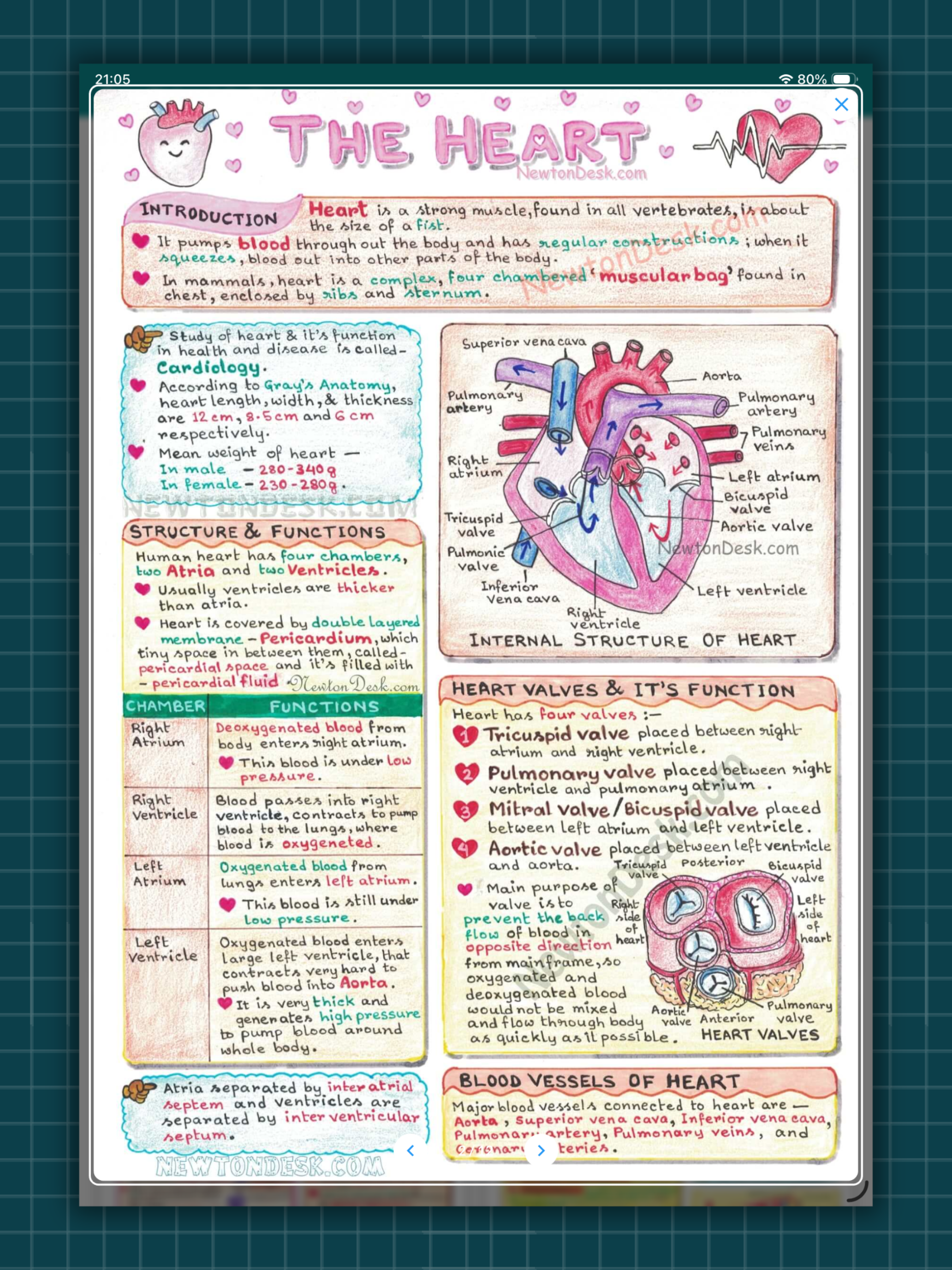 NewtonDesk: Study Notes