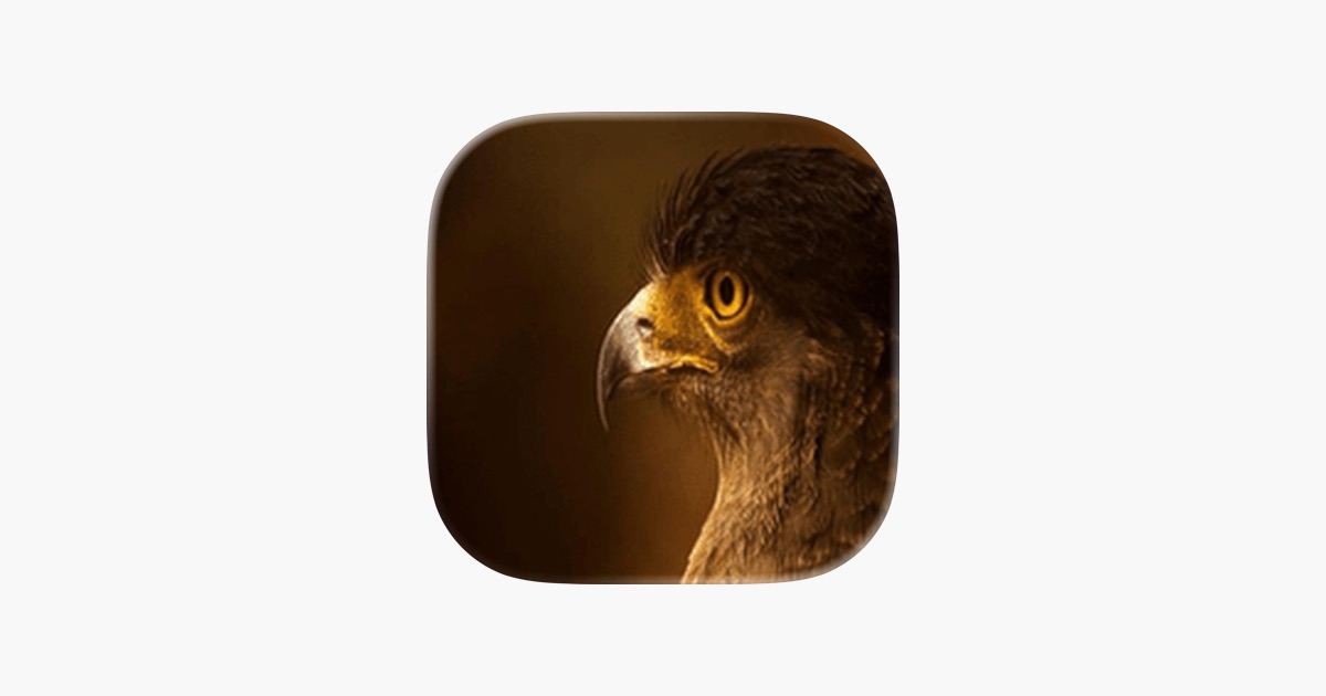 ‎PSG FALCON PRO App - App Store