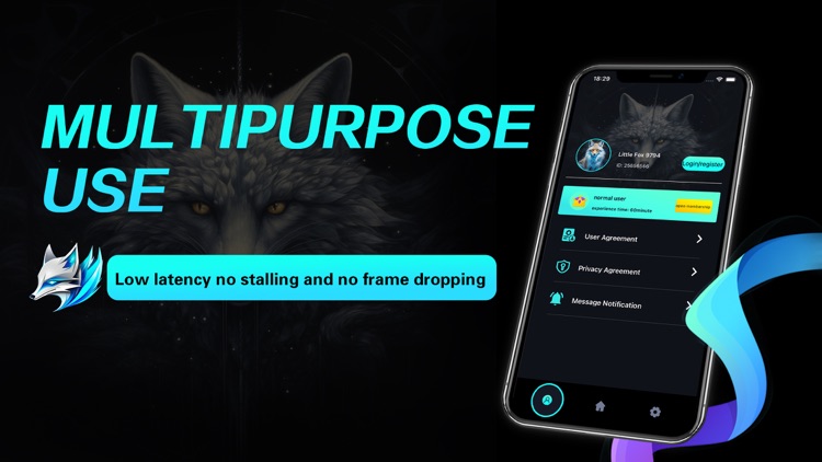 银狐加速器-海外极速网络助手