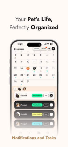 Bobki Screenshot 2 of 6