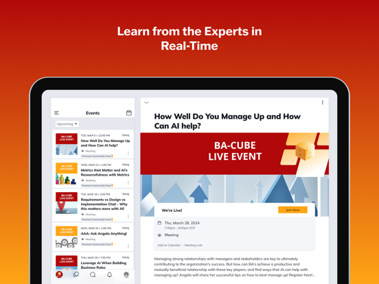 BA-Cube iPad screenshot 4 - Business app
