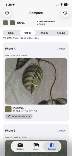 Is it the same color screenshot 1