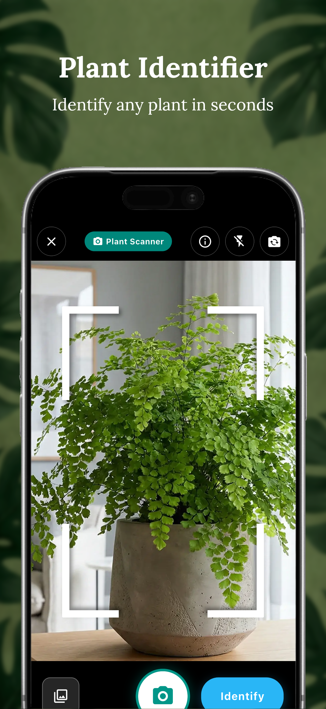 Plantology: Plant Care & ID