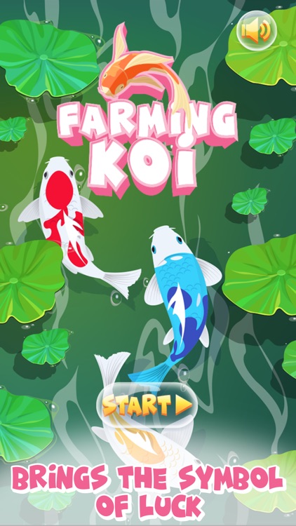 Farming Koi