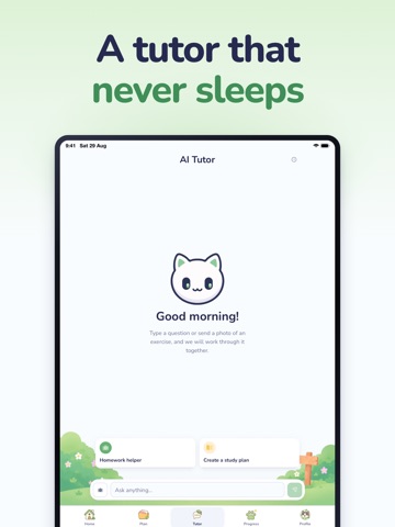 Meomo AI Flashcard & Exam Prep iPad screenshot