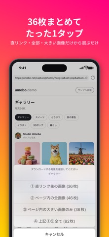 画像保存 / 大量ダウンロード / iDig のスクリーンショット