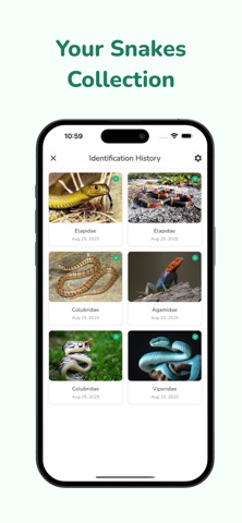 Snake Identifier: Scan Reptile iPhone screenshot