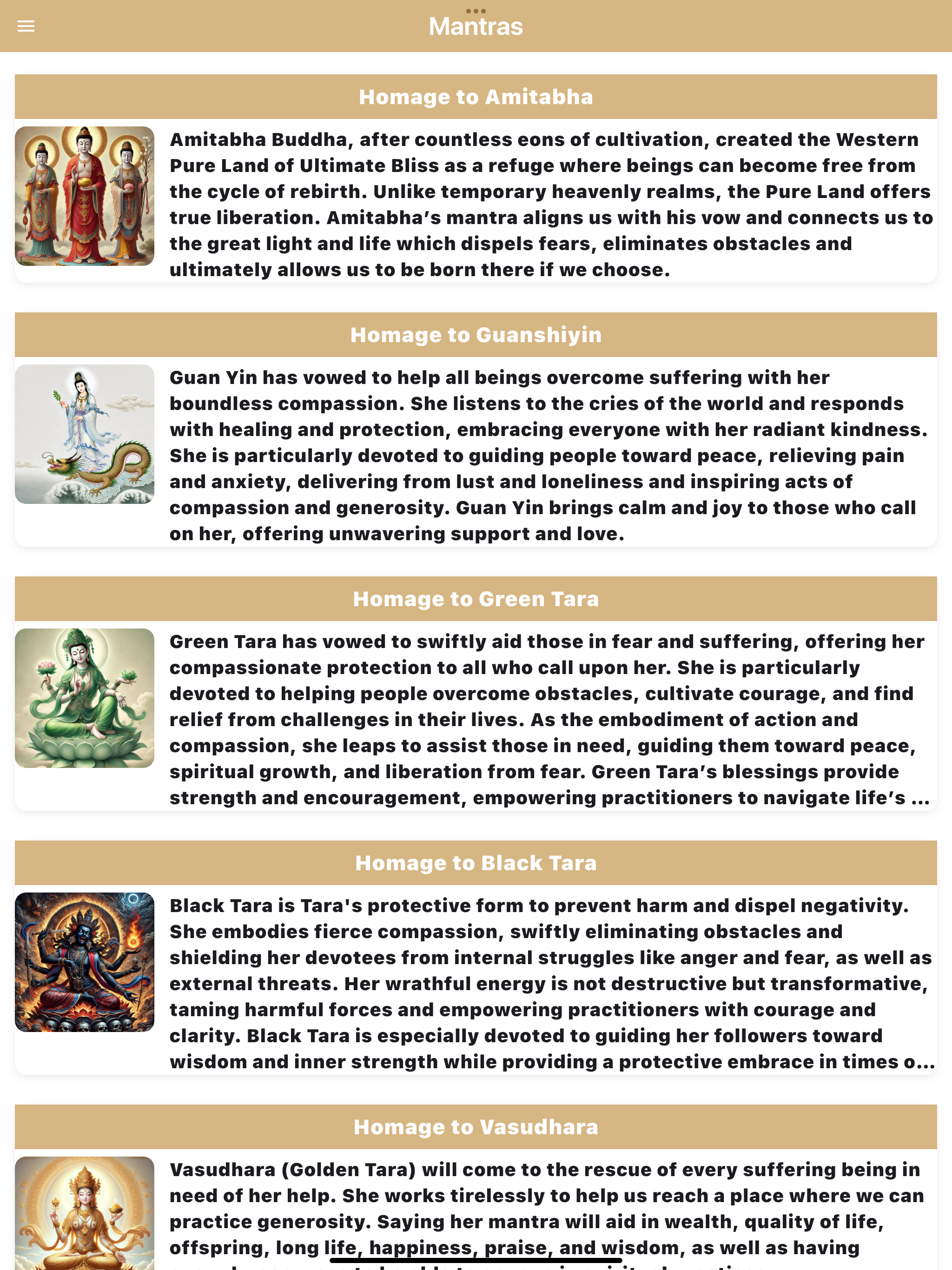Dharma Protectors