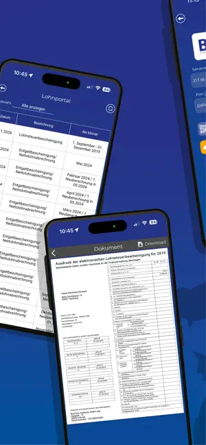 BlueTem - Lohnportal screenshot 2