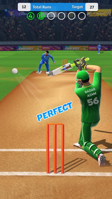 Cricket Match Multiplayer Game Screenshot