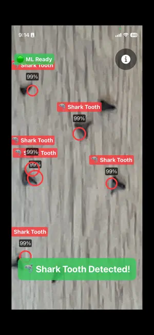 Shark Tooth Finder screenshot 1