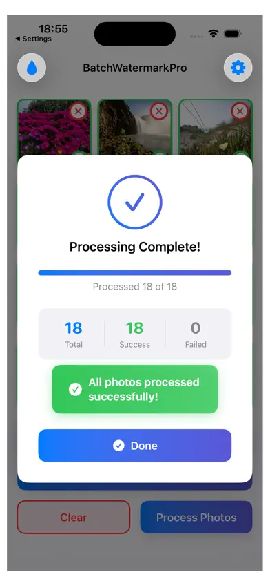 Batch Watermark Pro screenshot 3