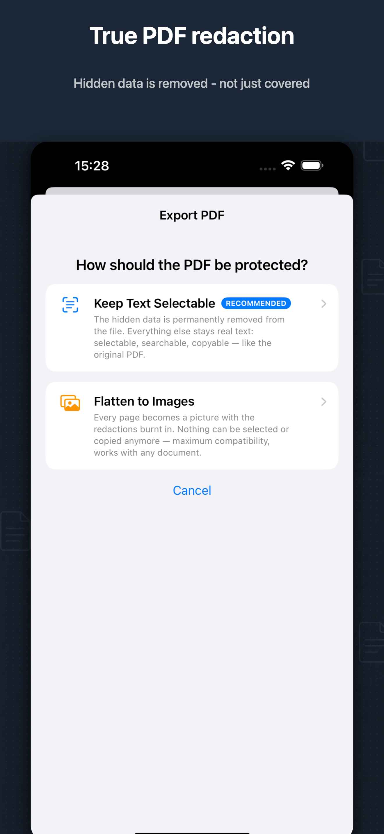 BlurData screenshot 2