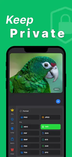Pixzool: Photo Converter screenshot 2