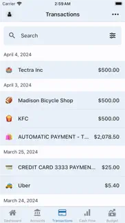 capstone: financial tracker iphone screenshot 3