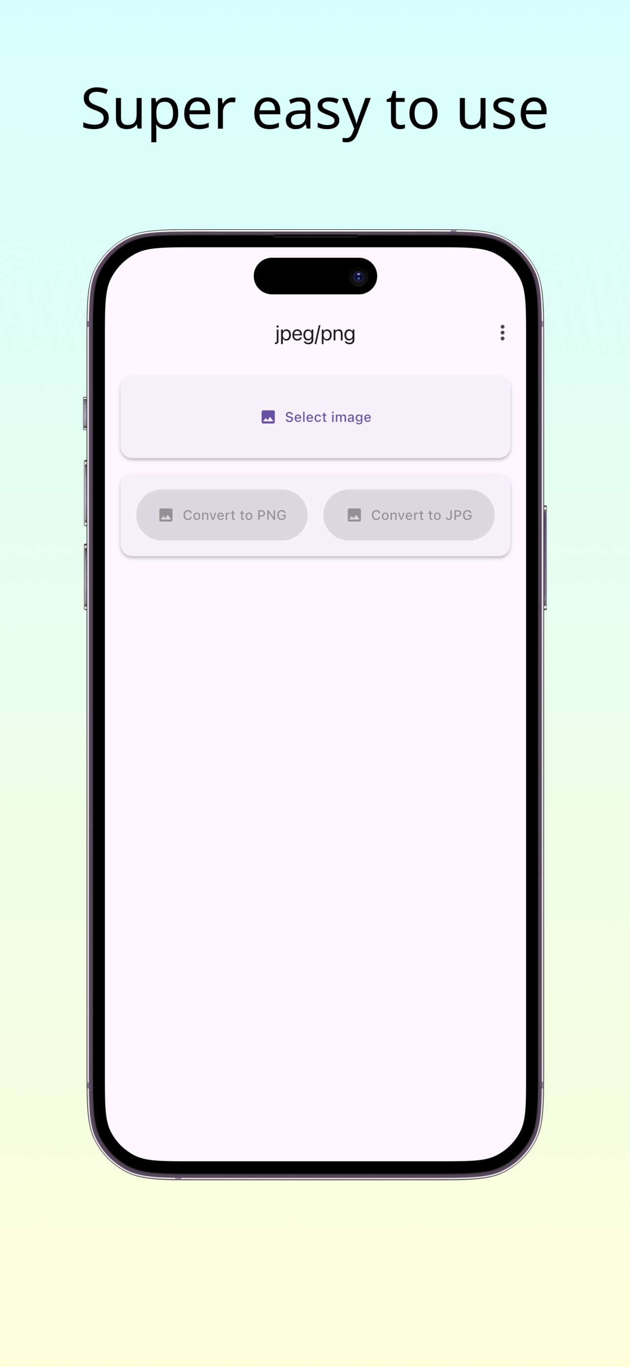 jpeg/png - JPEG/PNG conversion screenshot 2