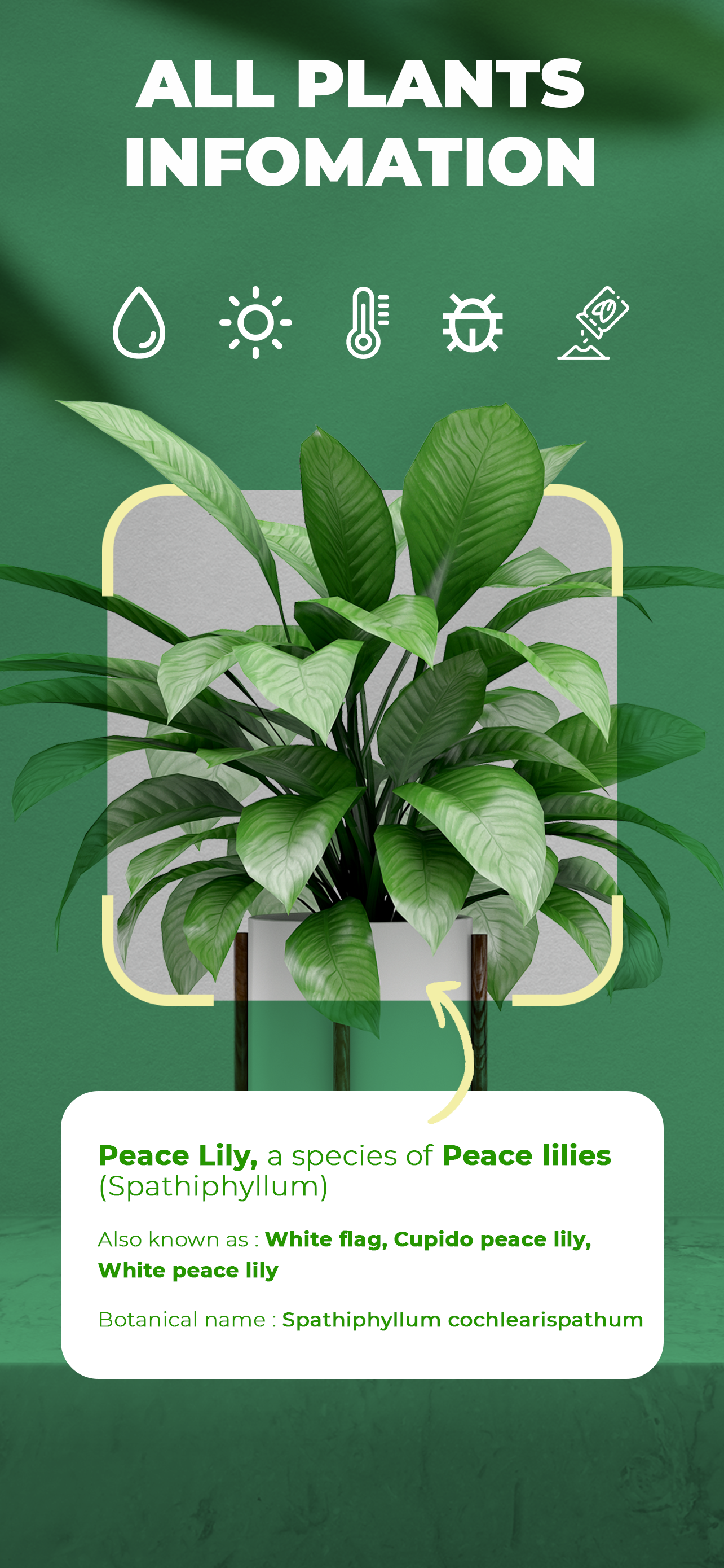 Planet - AI Plant Identifier