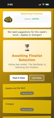 NoteAndVote: Participants Only screenshot