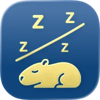 ‎Capi - Sleep Factors Analysis