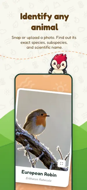 WunderWild screenshot 1