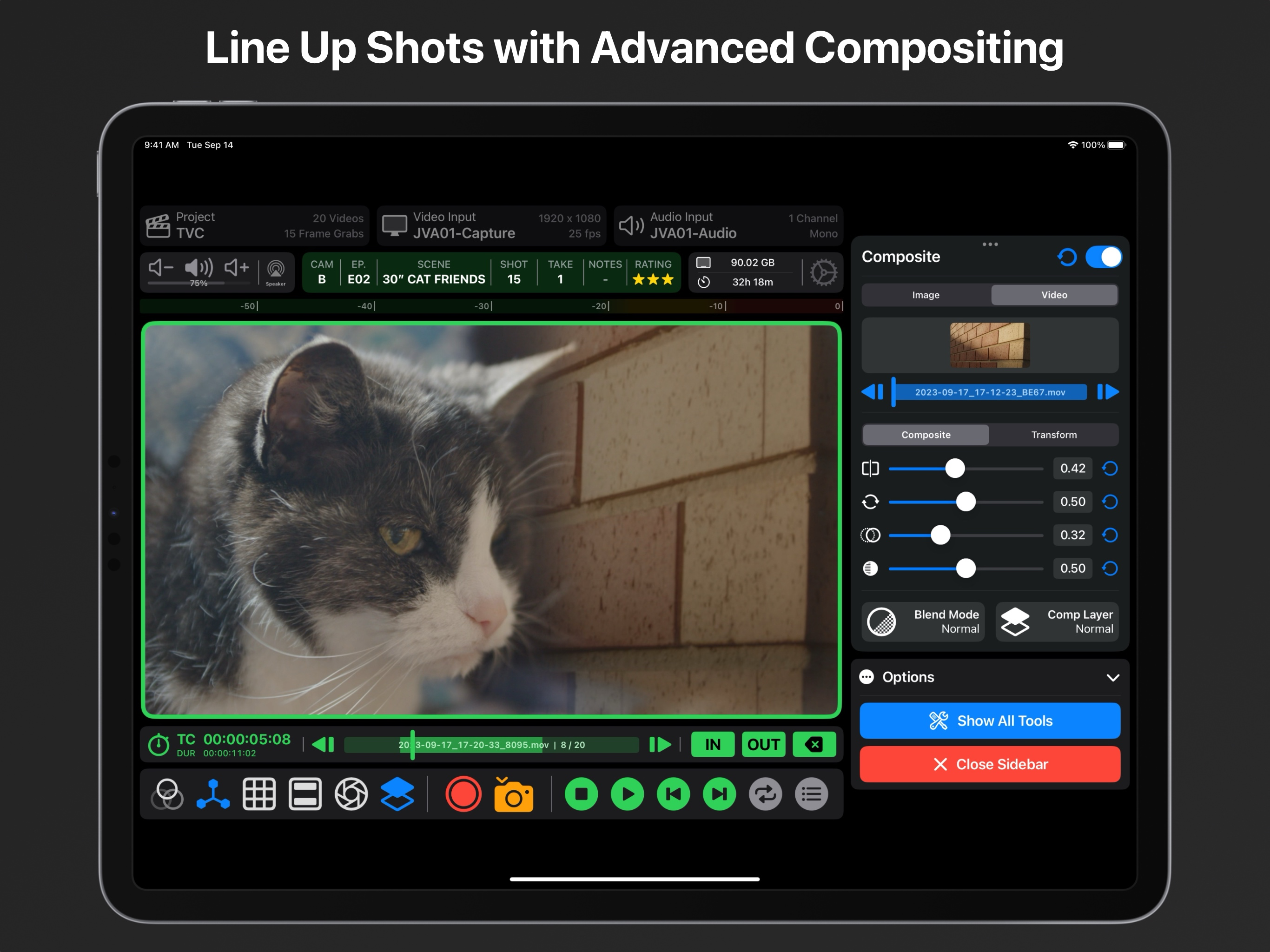 Video Assist screenshot 3