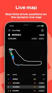 p1 telemetry iphone capturas de pantalla 2