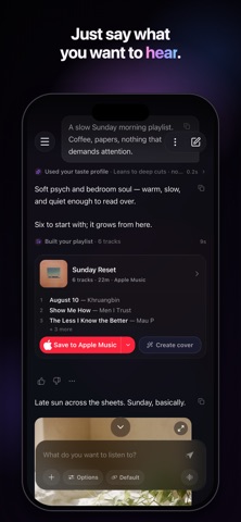 Beyond25: AI Playlist Maker Screenshot 2