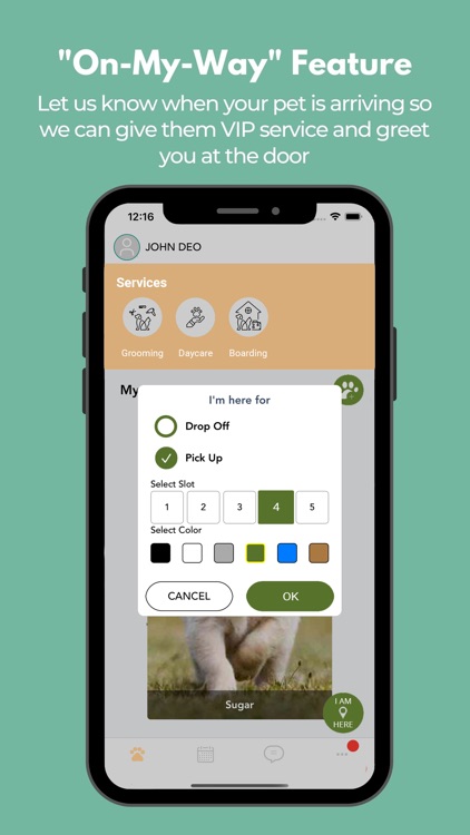 Canine State of Mind