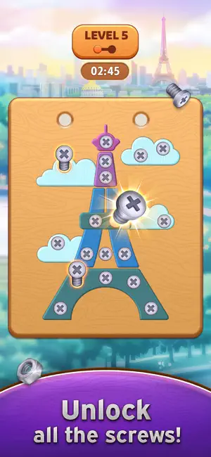 Nuts & Bolts Master Puzzle screenshot 3