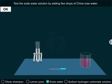 China Rose Lab - EduTech Era iPad screenshot