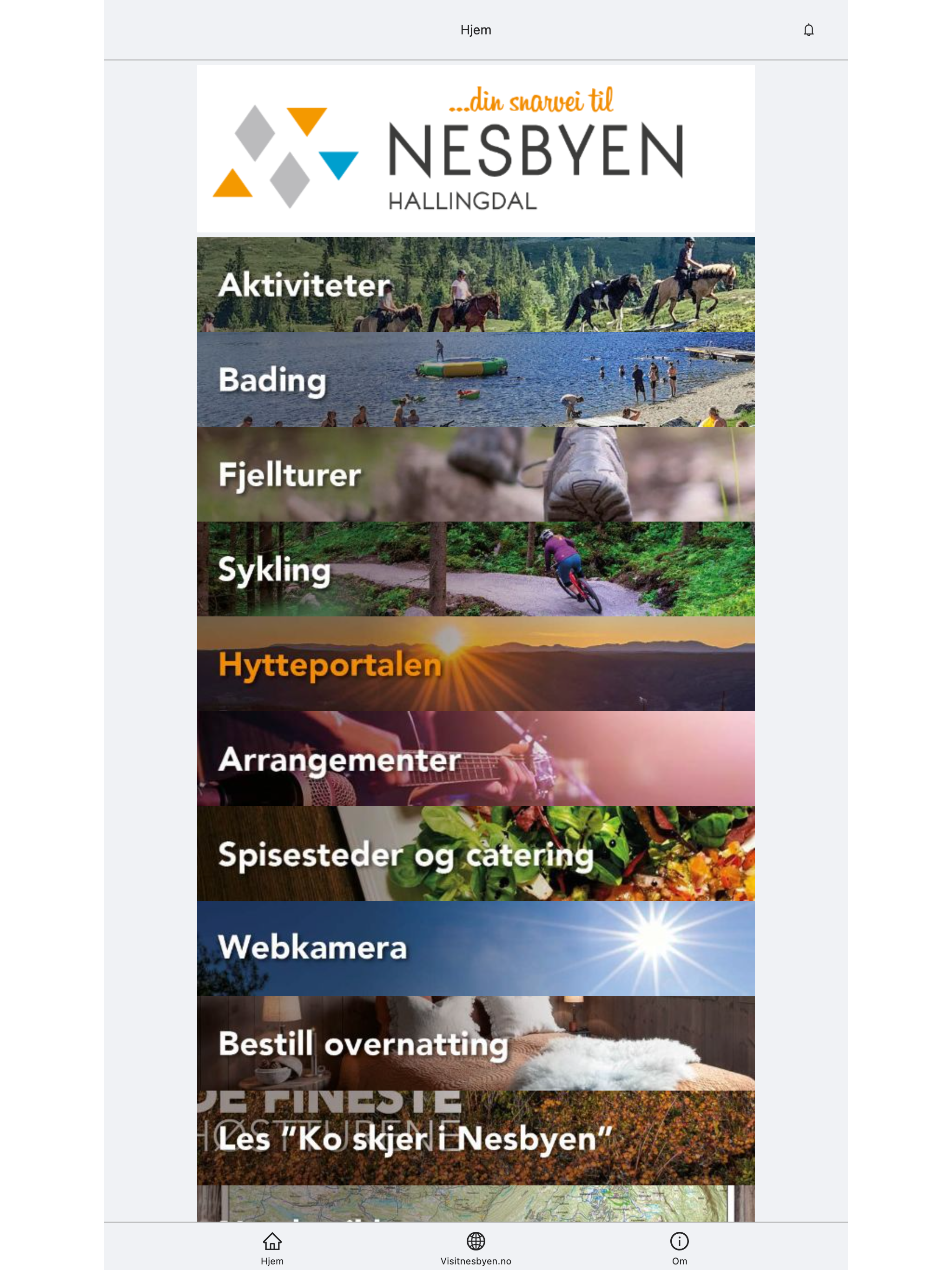 Nesbyen