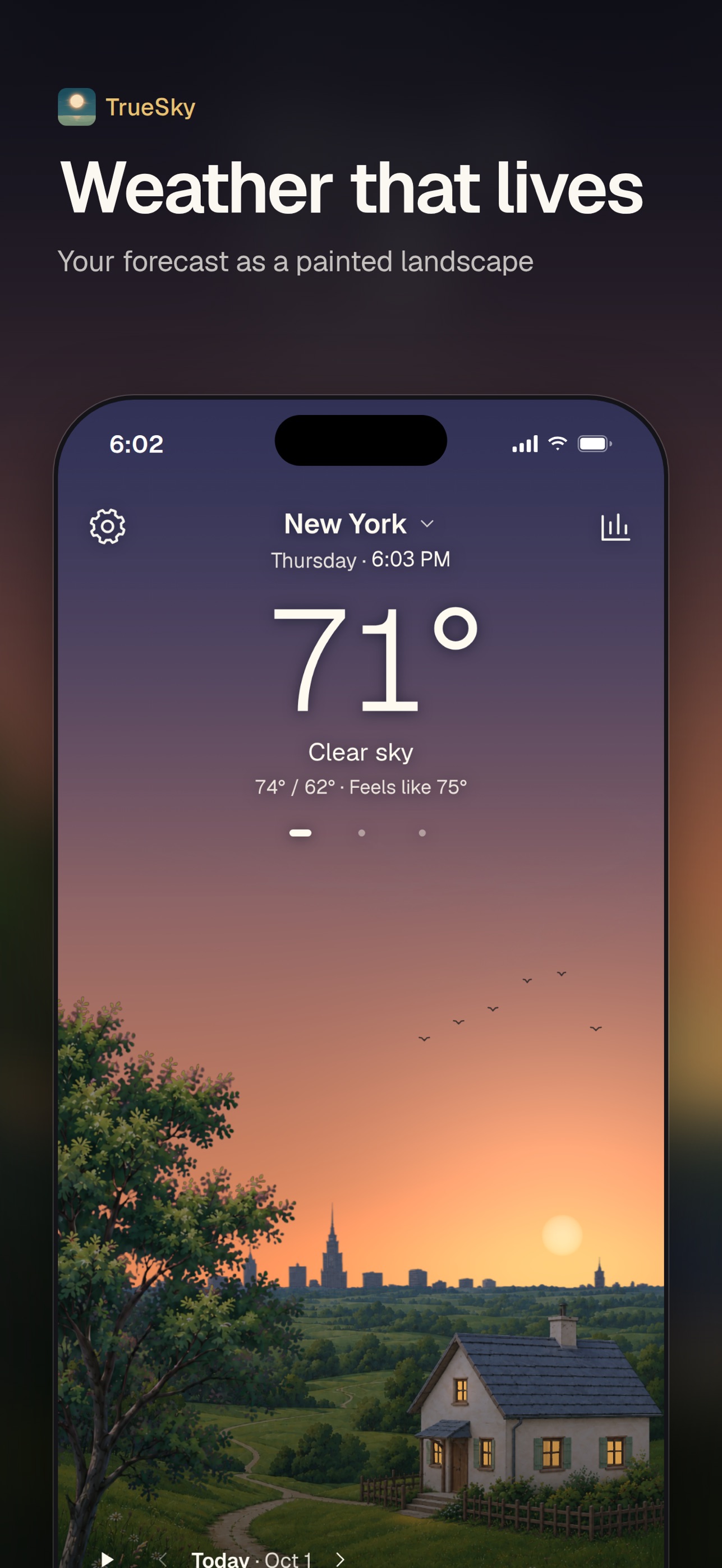 Screenshot 1 of TrueSky Weather