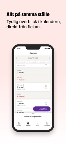 Spiris Anställd screenshot