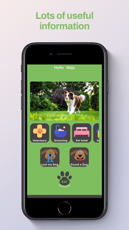 BAF - Best Animal Finder