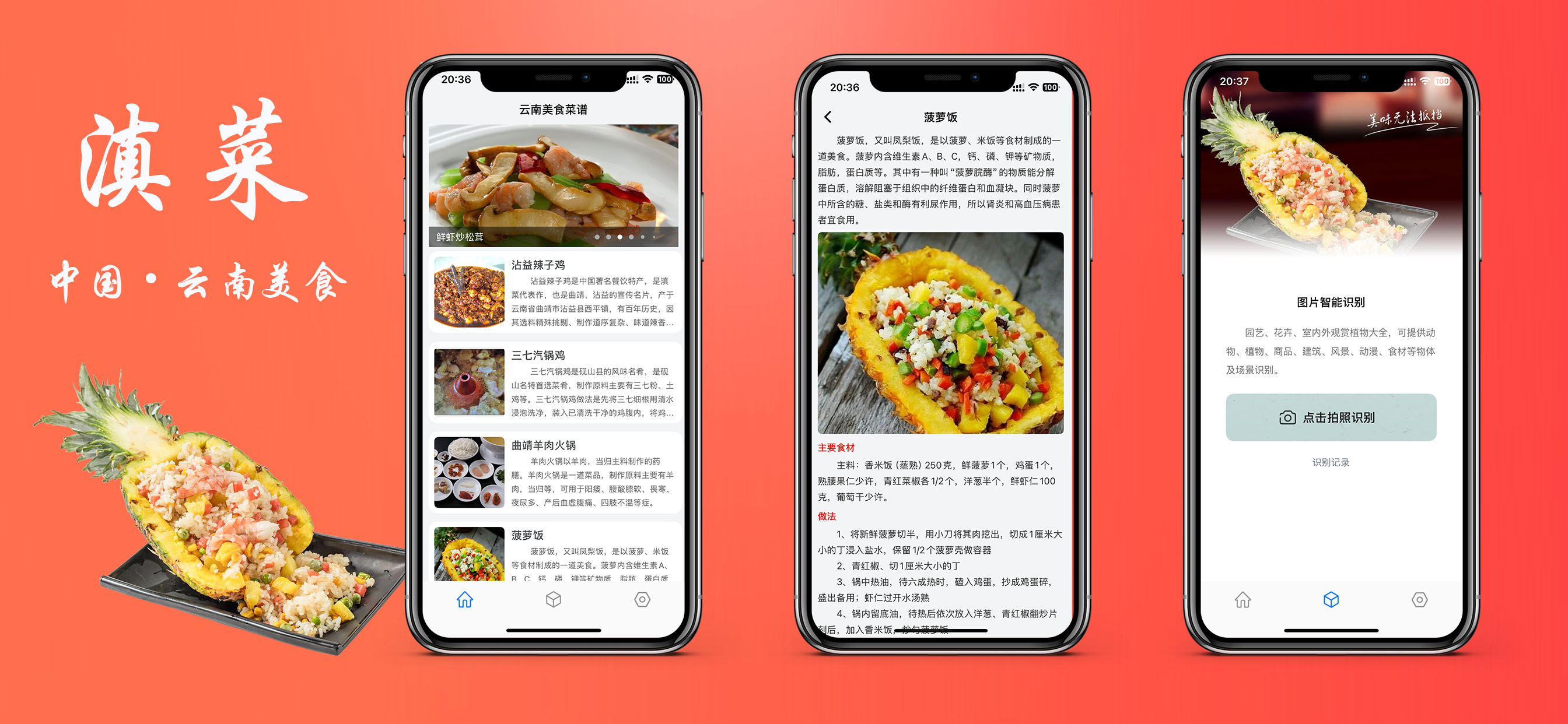 打卡滇菜食谱-中国云南省美食做法步骤大全
