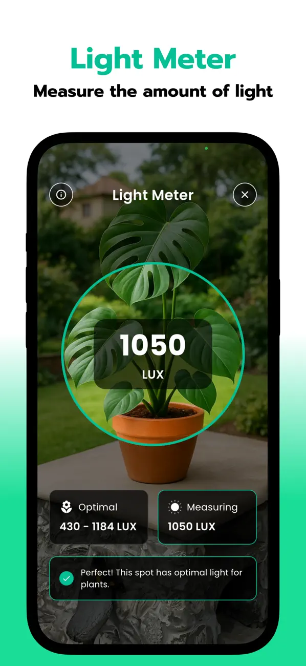 #6. Leaf Identification: Leafzy (iOS) De: Cristian Alan Canales Mota