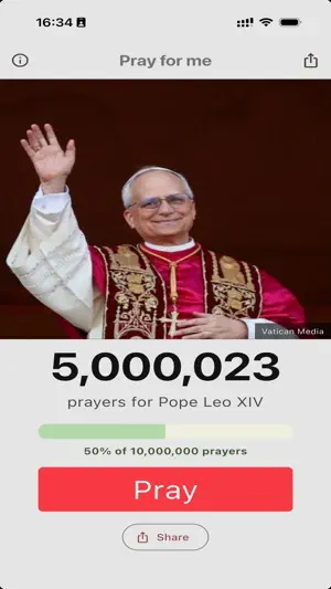 Pray for the Pope screenshot 1