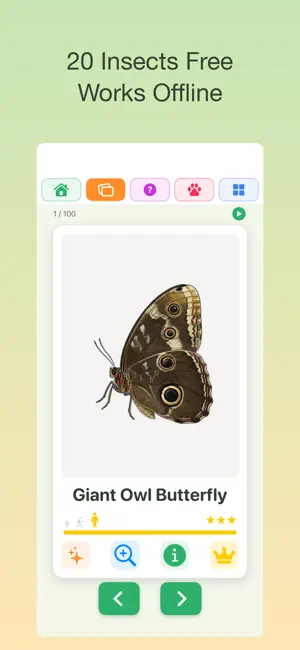 100 Insects - Grow & Learn screenshot 3