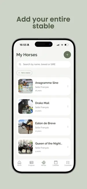 Cavalista screenshot 2