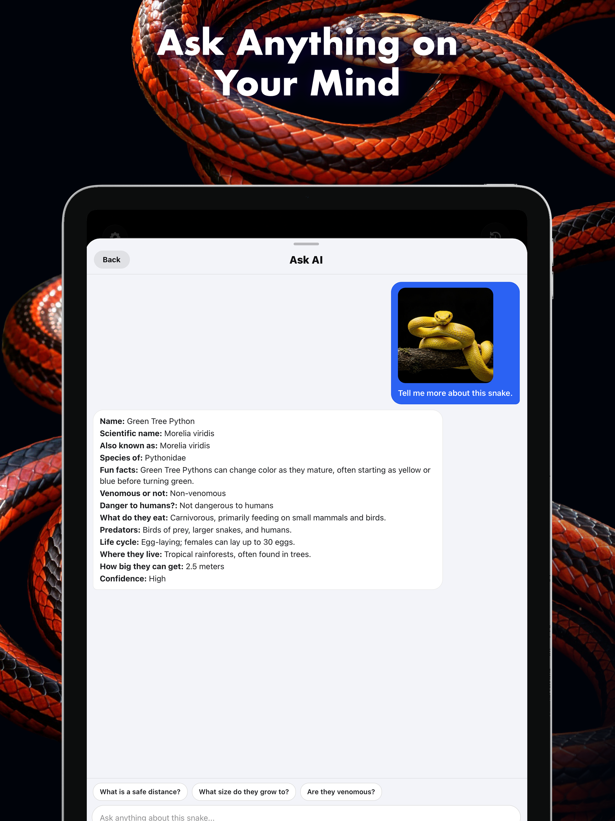 Snake Identifier | Venom Scan screenshot 8