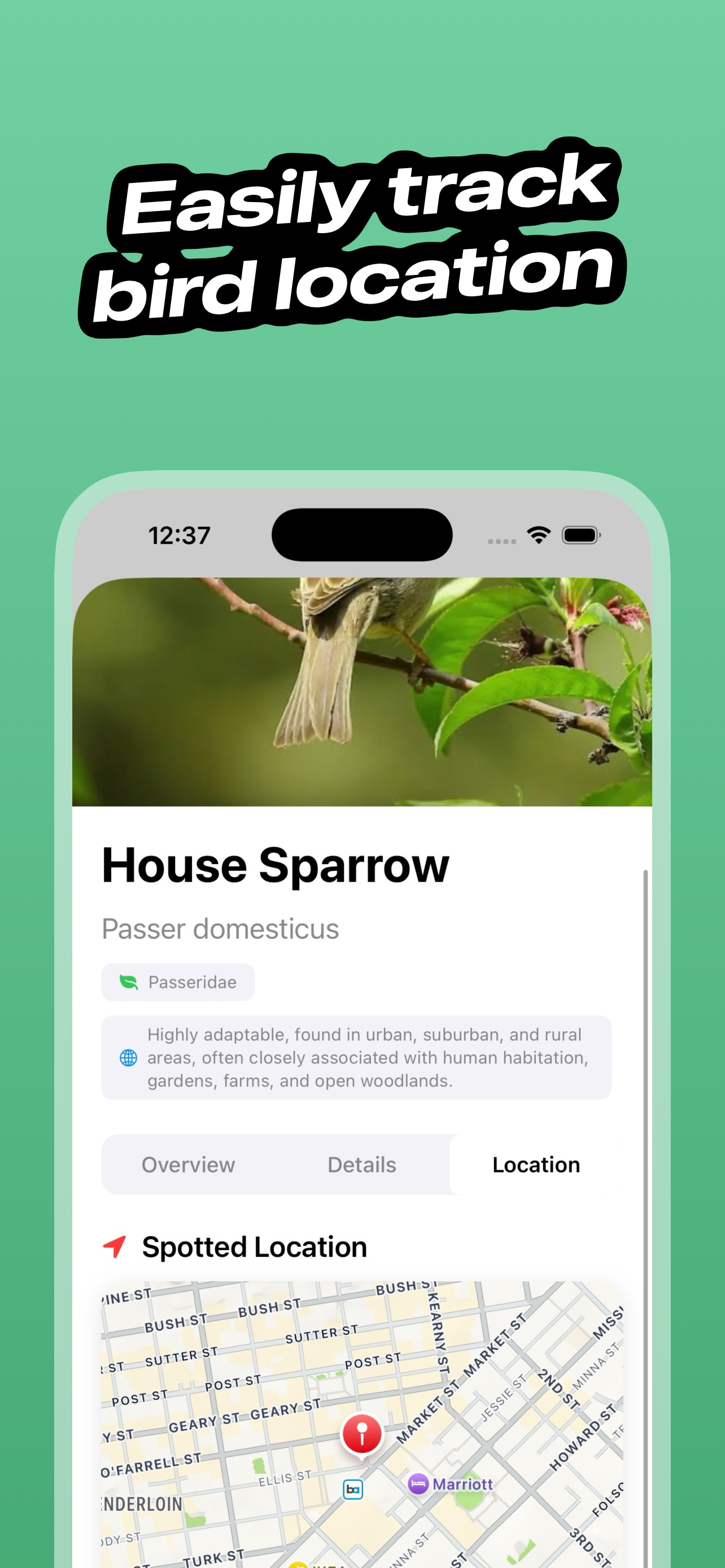 BirdSnap: AI Bird Identifier
