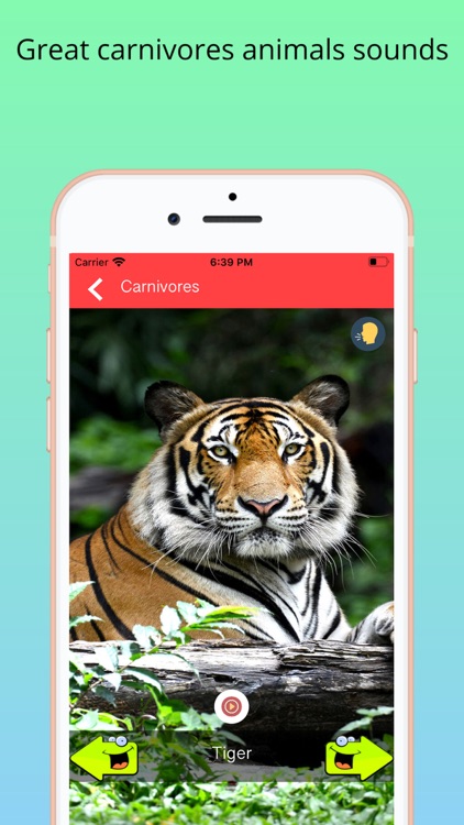 150+ Animal Sounds Lite screenshot-6