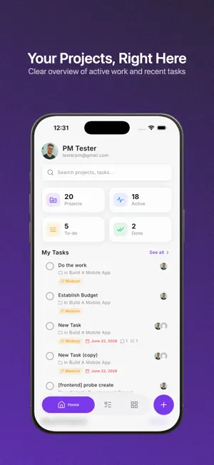 WP Project Manager screenshot 1
