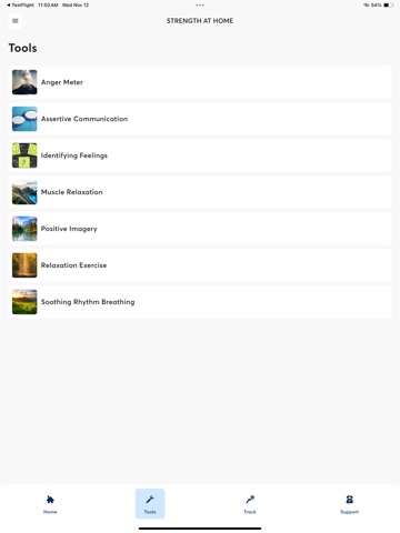 Strength at Home iPad screenshot