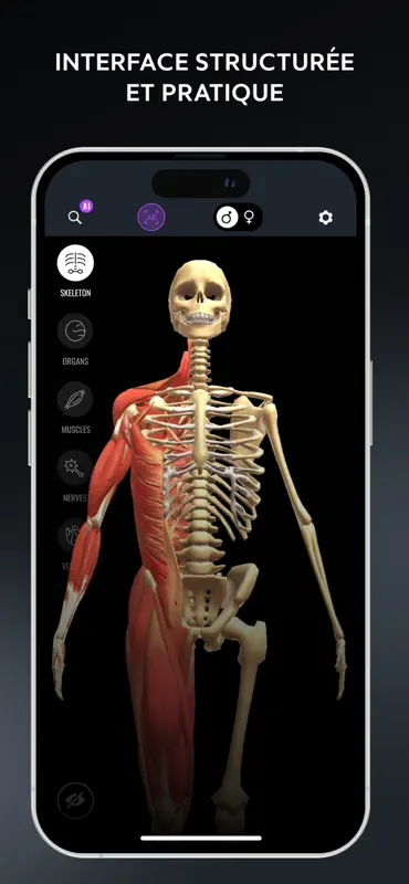 Human Anatomy Atlas: Skull 3D screenshot 4 of 6