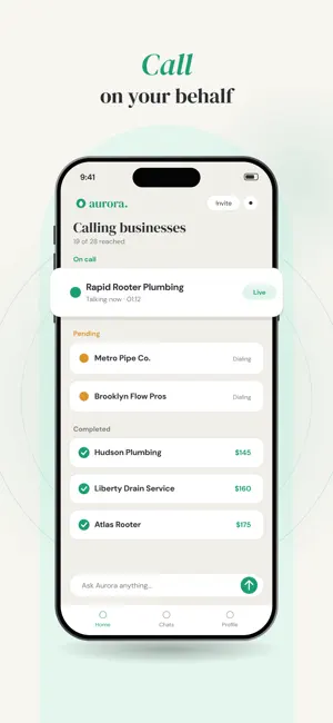 Aurora AI: Find Anything screenshot 3